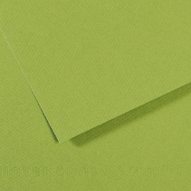 Popierius piešti pastele MiTeintes 50x65/160g 475 green