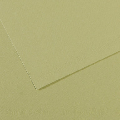 Grainy paper MiTeintes 160g 50x65cm 480 light green