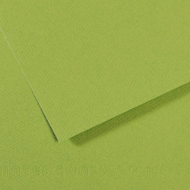 Grainy paper MiTeintes 160g 21x29.7cm 475 green