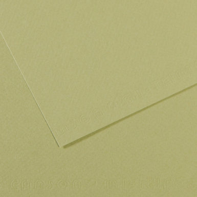 Grainy paper MiTeintes 160g 21x29.7cm 480 light green