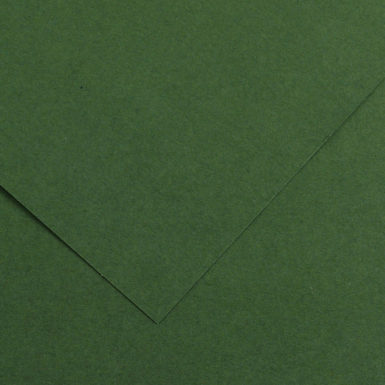 Smooth paper Vivaldi 240g 50x65cm 31 forest green