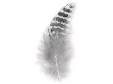 Decorative feathers 6cm 2g black/white