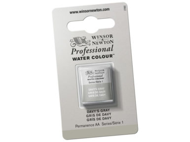 Professional Water Colour Half Pan 217 Davy's Grey