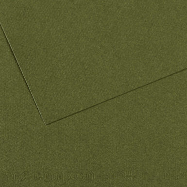 Grainy paper MiTeintes 160g 50x65cm 448 ivy
