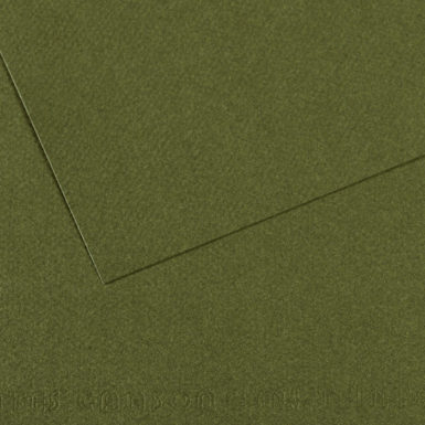 Grainy paper MiTeintes 160g 21x29.7cm 448 ivy