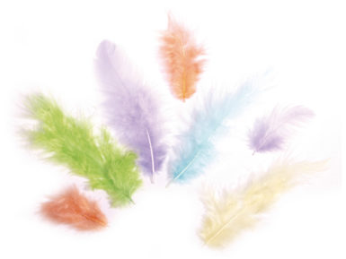 combination of feathers 3-10cm
