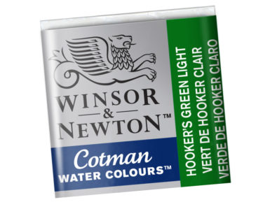 Cotman Water Colour Half Pan 314 hookers green light