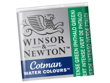 Cotman Water Colour Half Pan 329 intense green