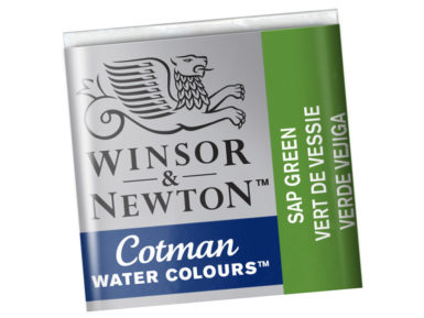 Akvarelinių dažų pakuotė Cotman 1/2 599 sap green