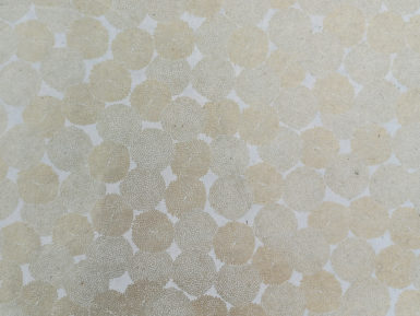 Nepaali paber 51x76cm Mums Gold on Cream