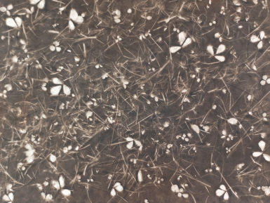 Nepaali paber 51x76cm Leaves Imprint VD Brown