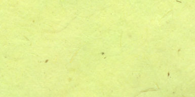 Lokta Paper 51x76cm 24 Lemon Green