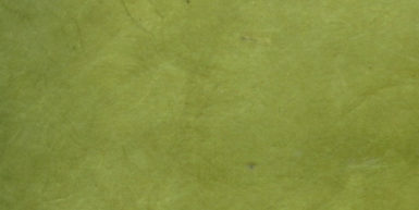 Nepalietiškas popierius 51x76cm 35 Olive Green