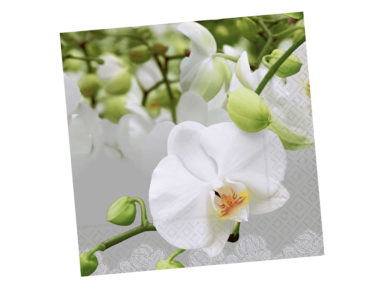 Servetėlės 33x33cm 20vnt. 3 sluoksnių Orchid Festival