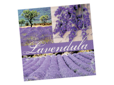 Servetėlės 25x25cm 20vnt. 3 sluoksnių Dreams of Lavender