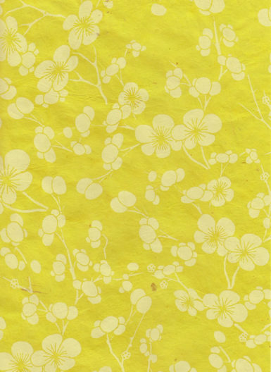 Lokta Paper A4 Cherry Blossom Offwhite on Yellow