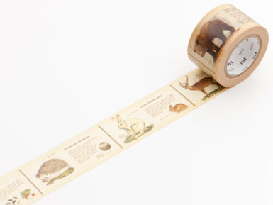Washi dekoratyvi lipni juostelė mt ex 30mmx10m encyclopedia animal
