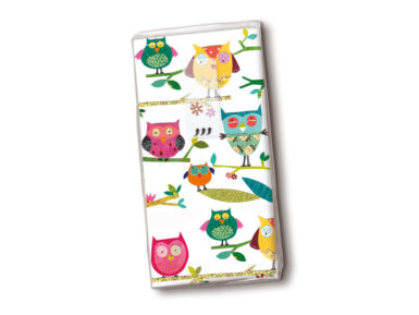 Popierinės nosinės 10vnt. 4 sluoksnių Colourful Owls