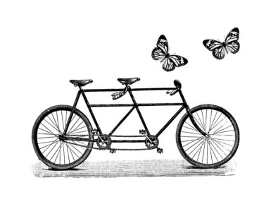 Spaudas Aladine dviratis ir drugeliai 6x6cm