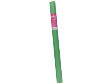 Šilkinis popierius Canson 0.5x5m 021 bright green