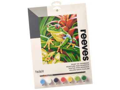 Painting By Numbers Reeves 22.5x30cm Tree Frog