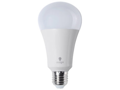 LED bulb Daylight 15W E27